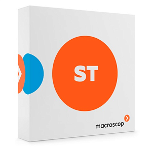 MACROSCOP лицензия ST